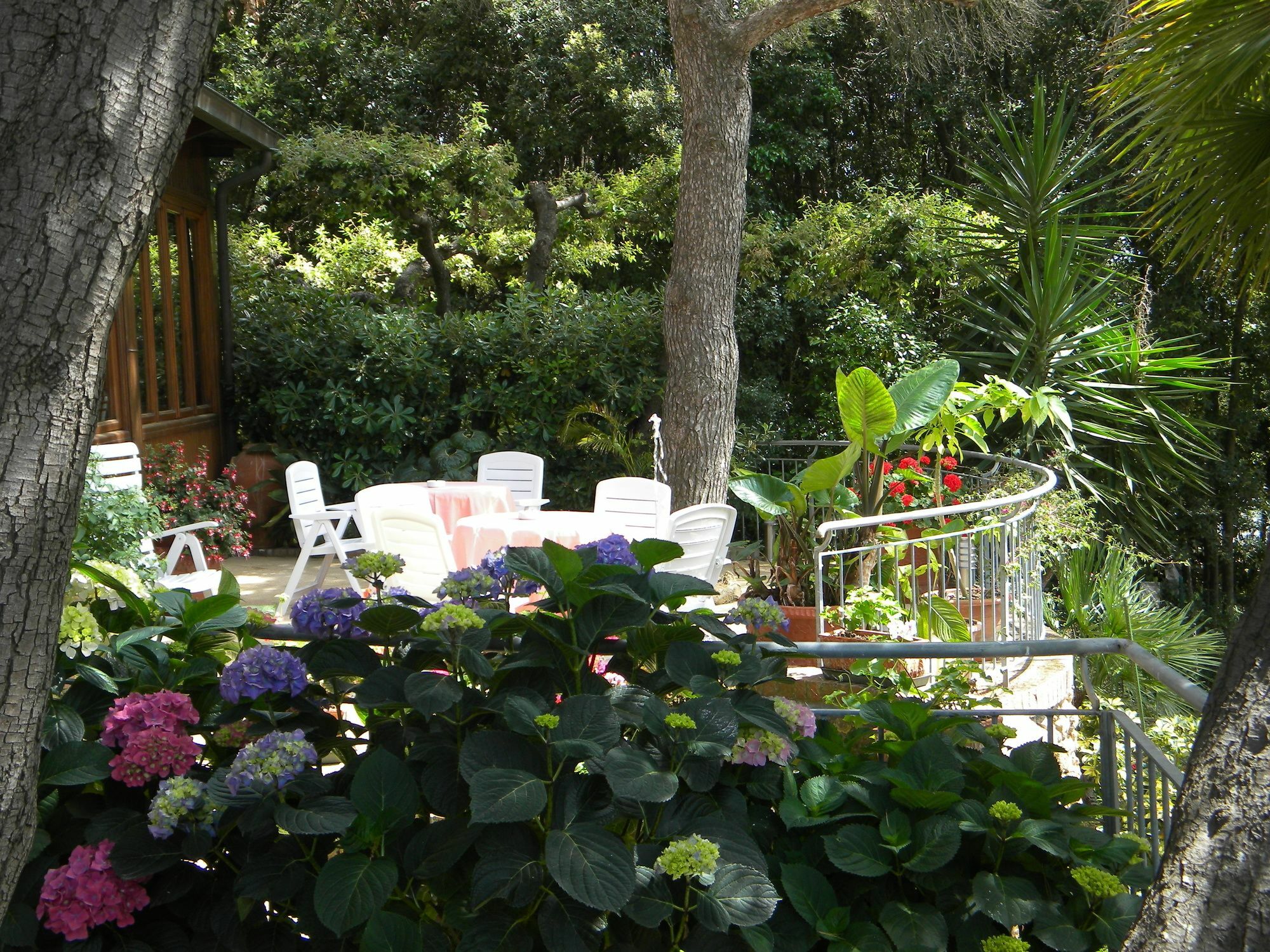 Hotel La Rosa Del Tirreno ليفورنو المظهر الخارجي الصورة
